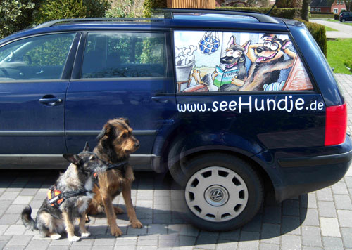 Seehundje-Passat05-13HP